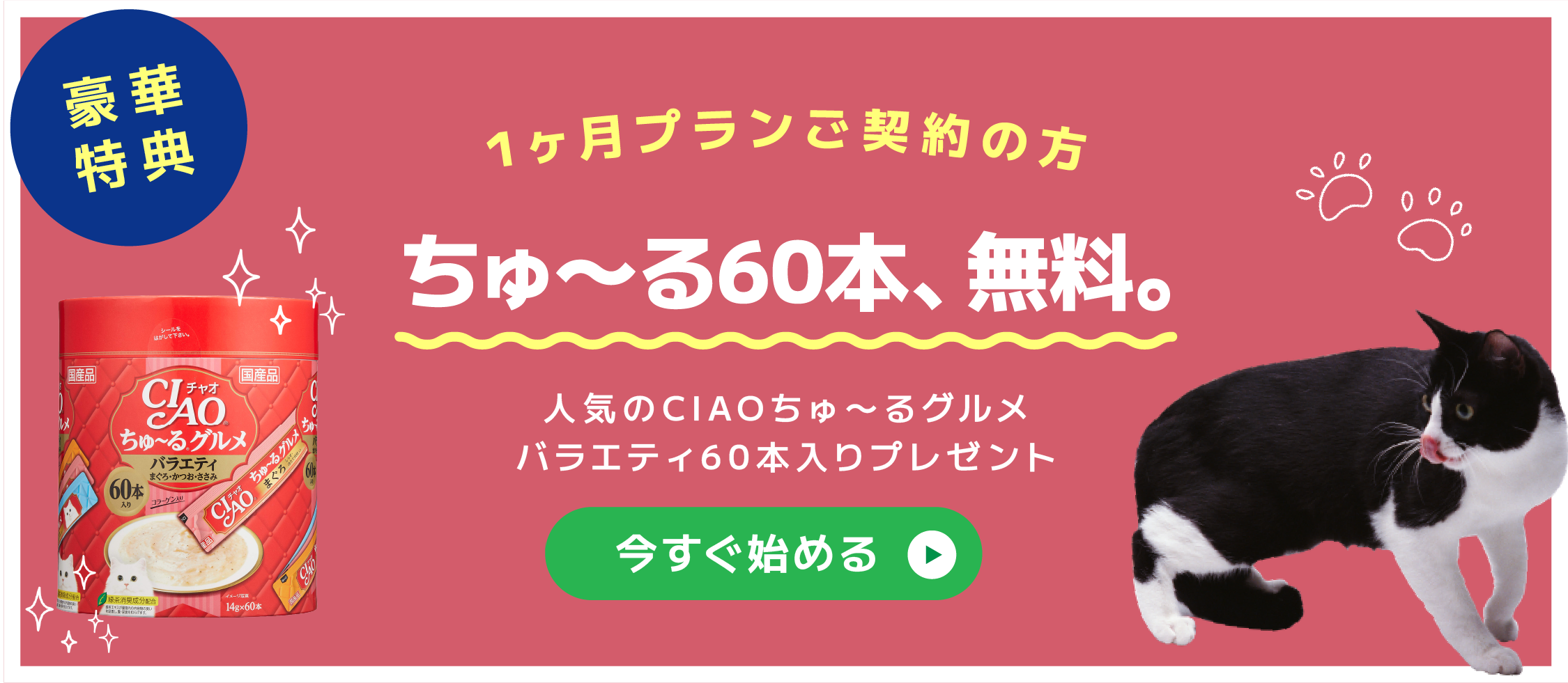 1ヶ月プランご契約特典：ちゅ〜る60本、無料。