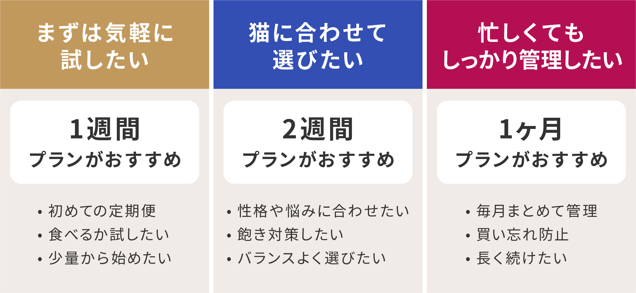 プランの選び方