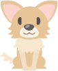 dog image