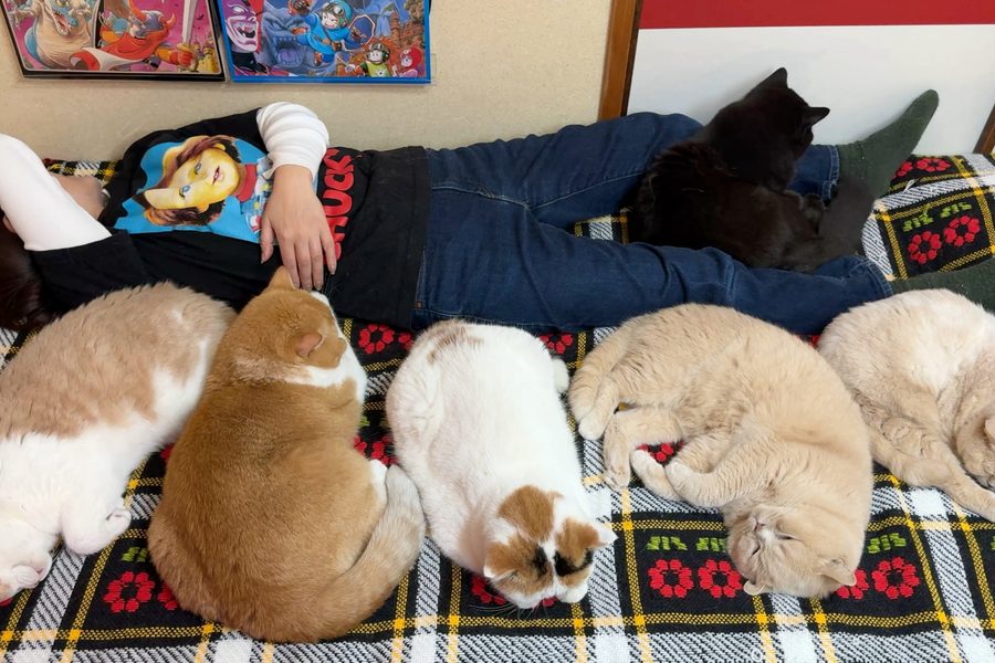 ペット総合ショップのイメージ写真